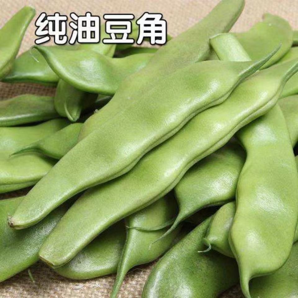 【顺丰包邮】东北黑龙江纯陆地绿豆角开锅即烂九月青油豆角5斤净重