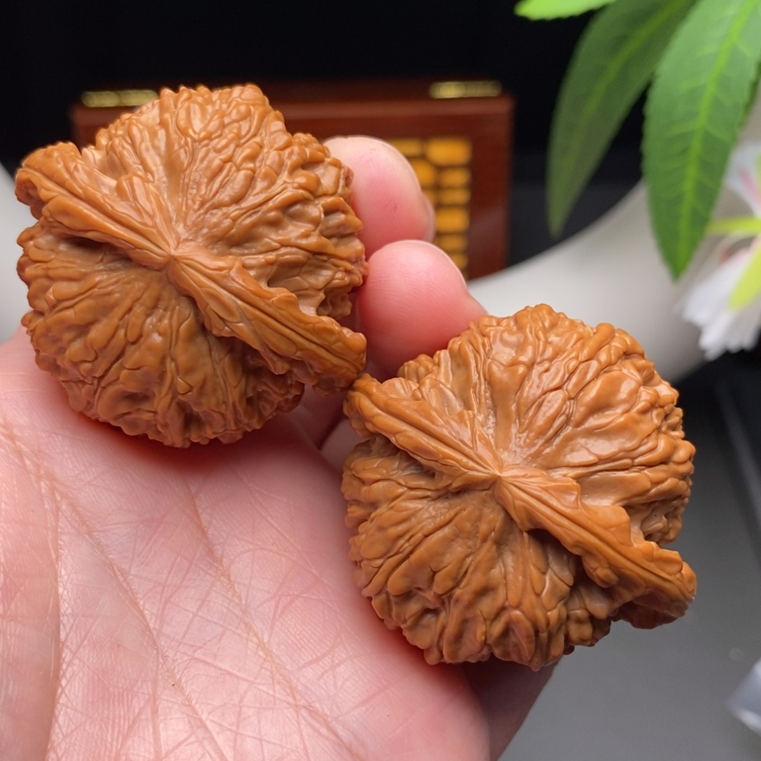 文玩核桃把件白狮子45.5