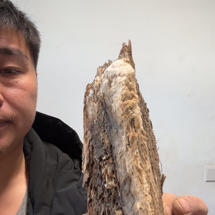 七***空有机玻璃太行崖柏太行崖柏