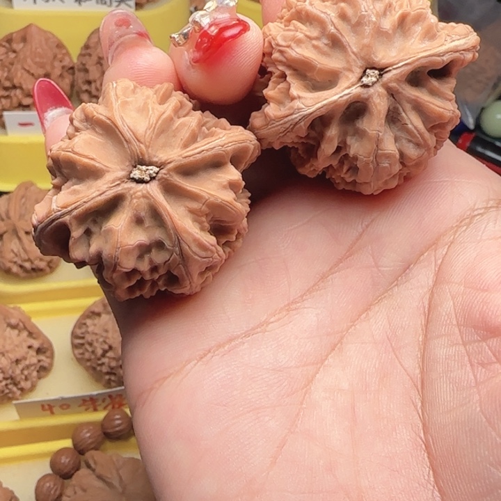 尼***斯弯弯核桃玄武，玄武玄武