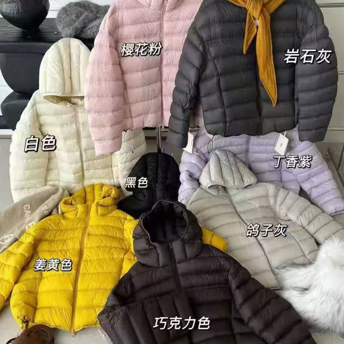 韩系连帽加厚白鸭绒短款排骨羽绒