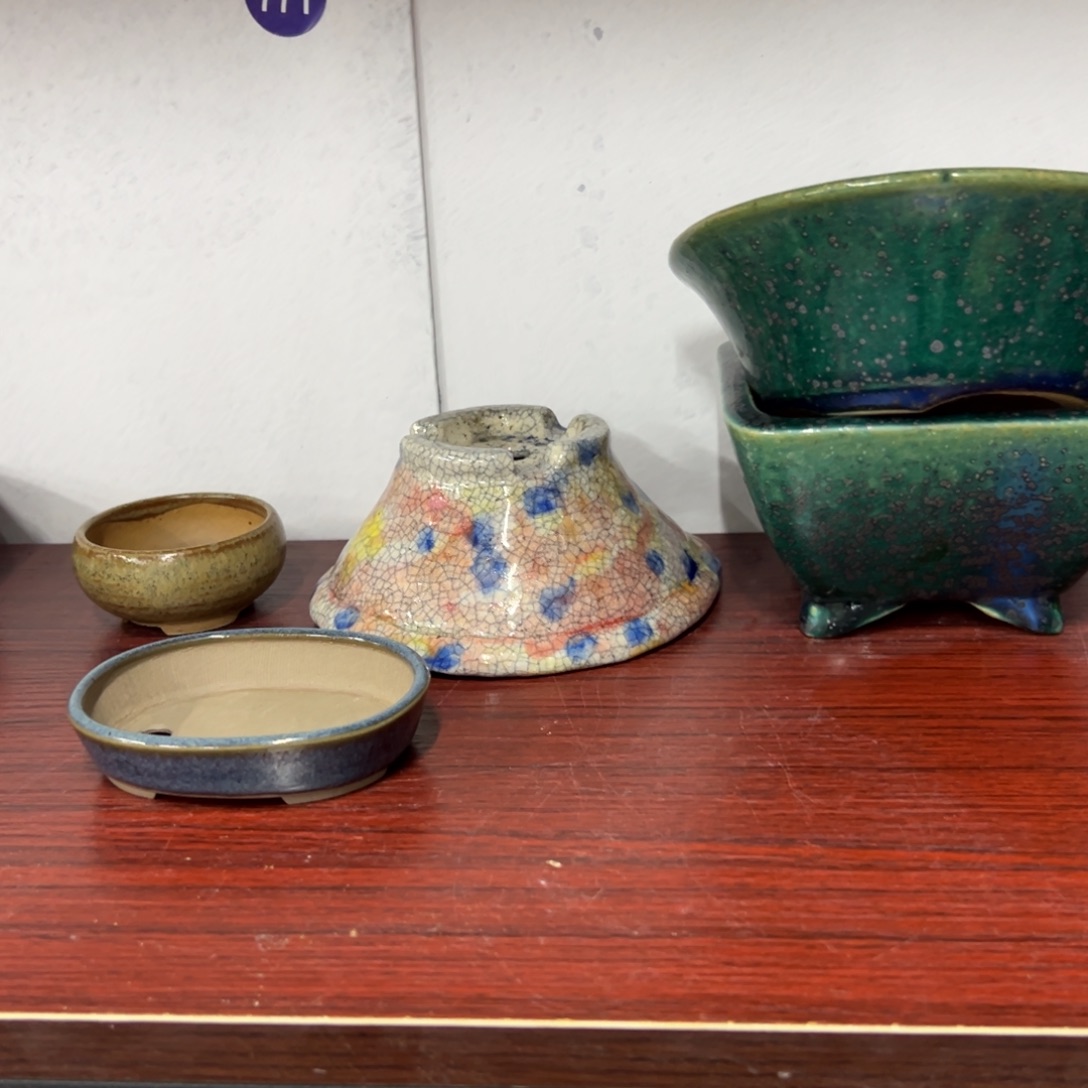 红陶红红火火过大年