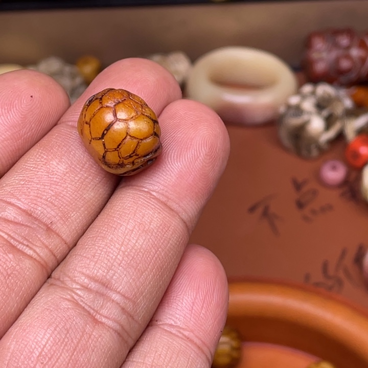 驼骨手串/手链人工养殖