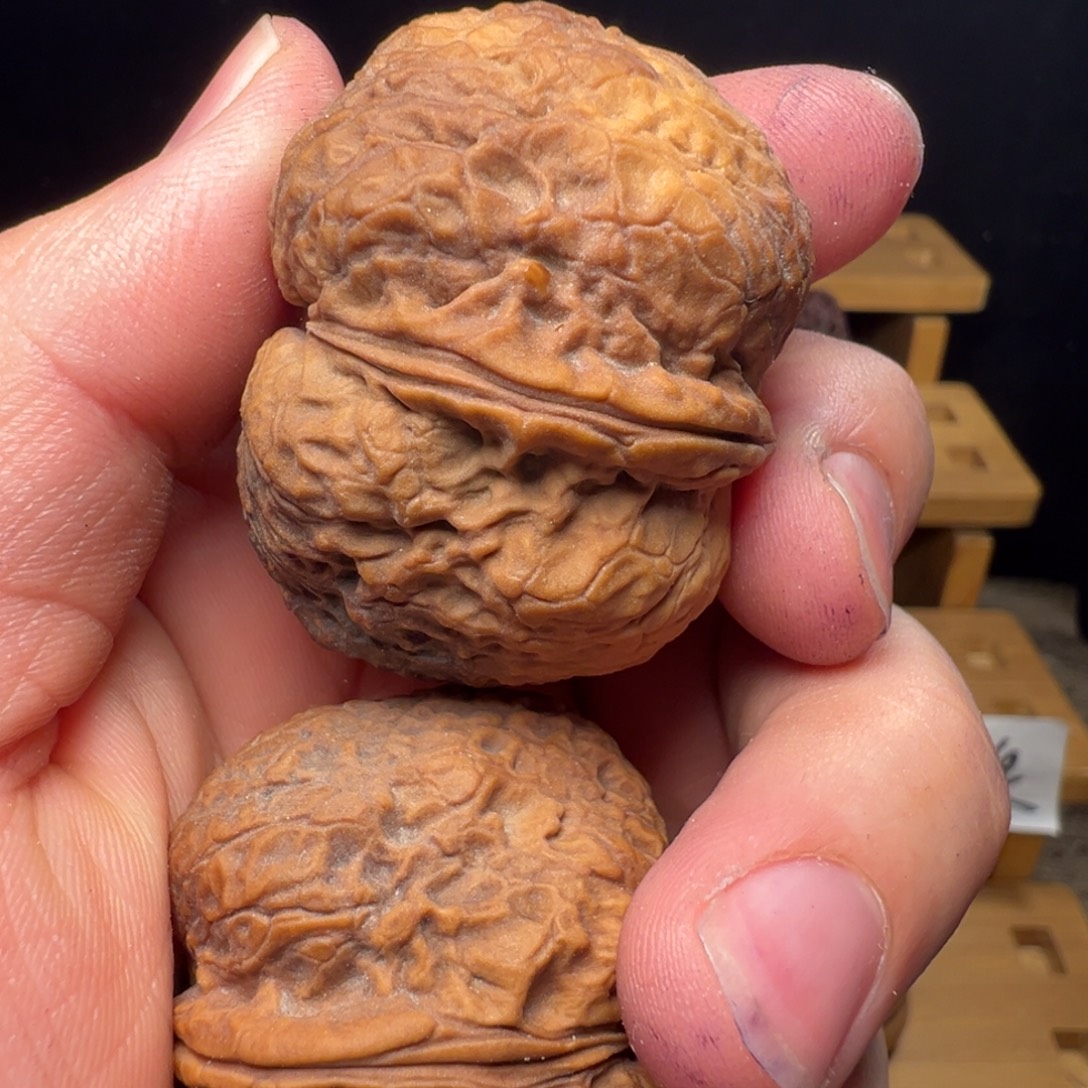 文玩核桃吊坠秦权43mm
