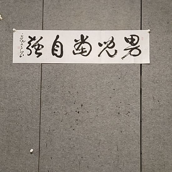 用***4书法宋秉民。男儿当自强。