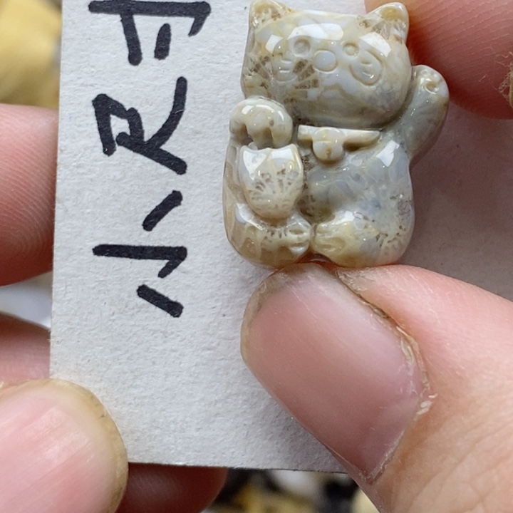 颈饰未镶嵌硅化珊瑚（珊瑚玉）