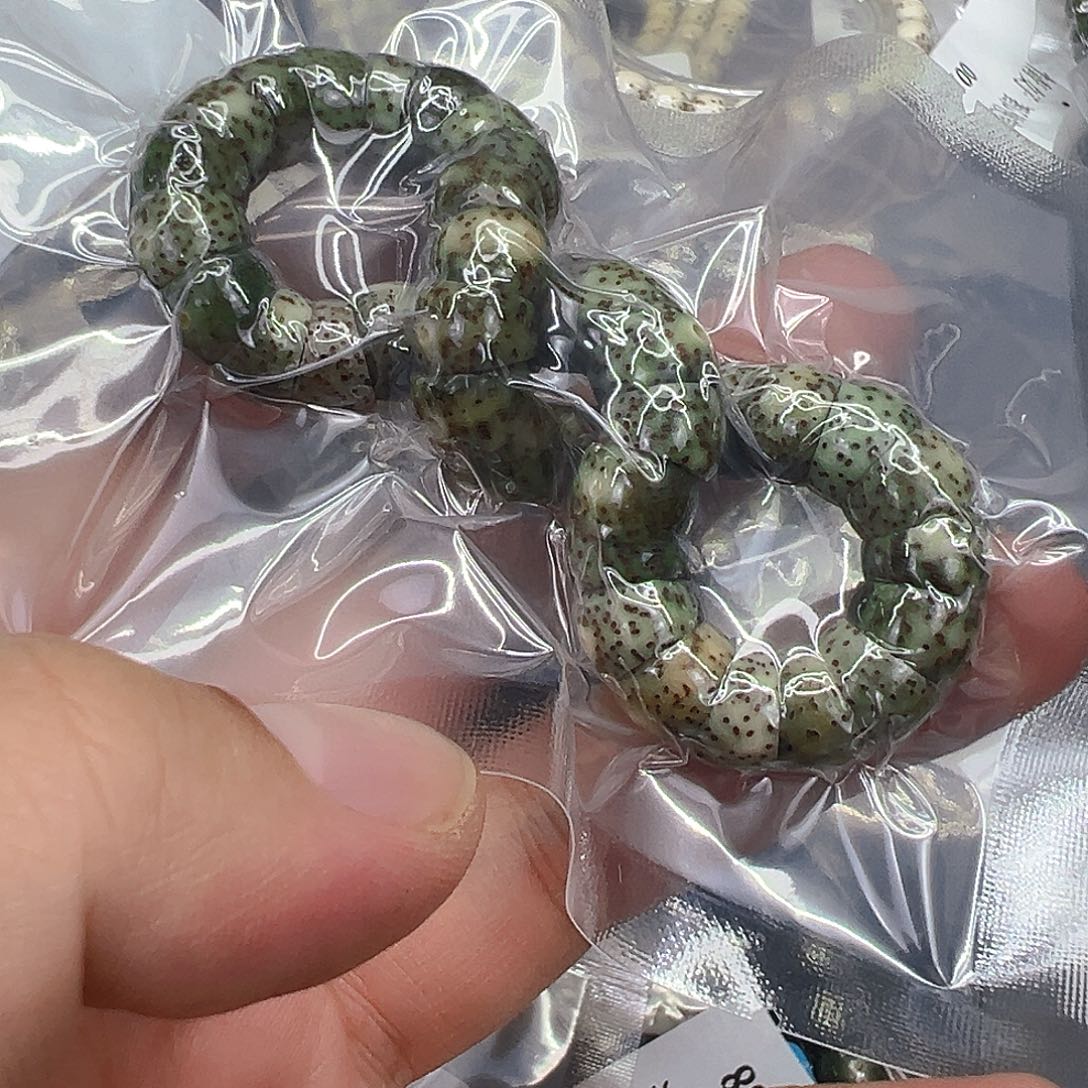 手串星月菩提9绿星月菩提单圈大肠1.0