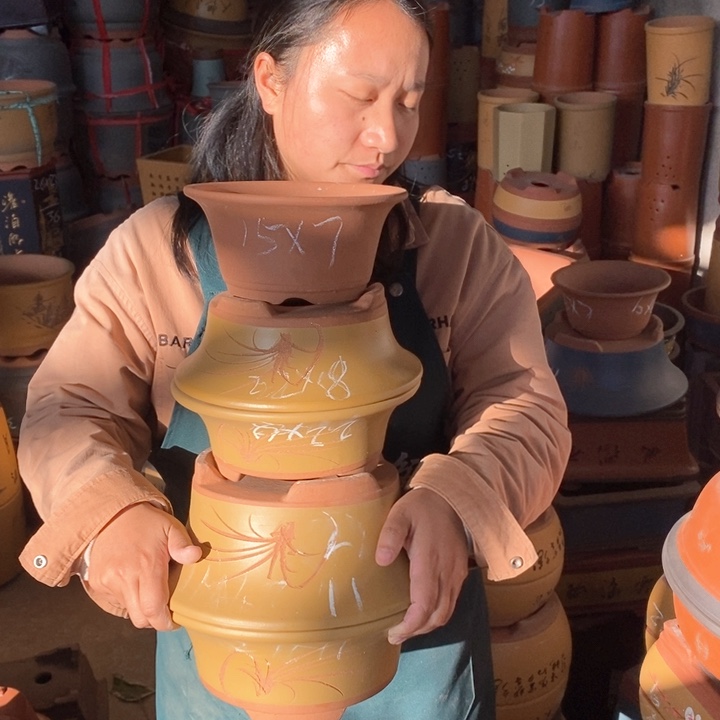 紫砂花盆盆栽花卉苗木种植