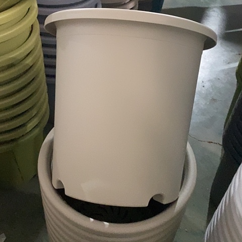 树脂特价8号5个无托灰白