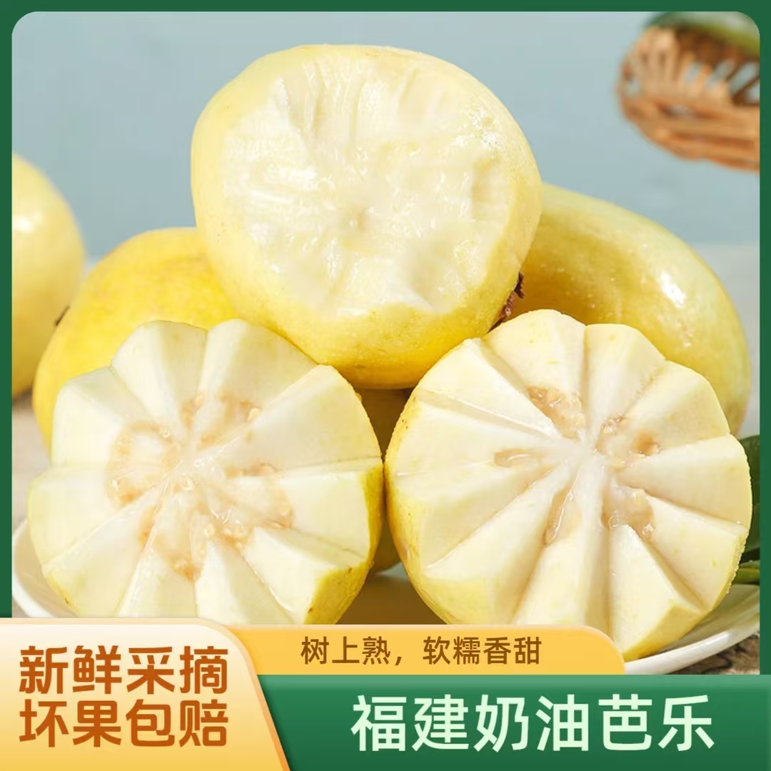 优选奶油芭乐整箱/1.15kg