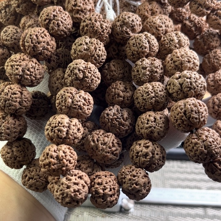 金刚菩提手串18/19满肉五星蜂王