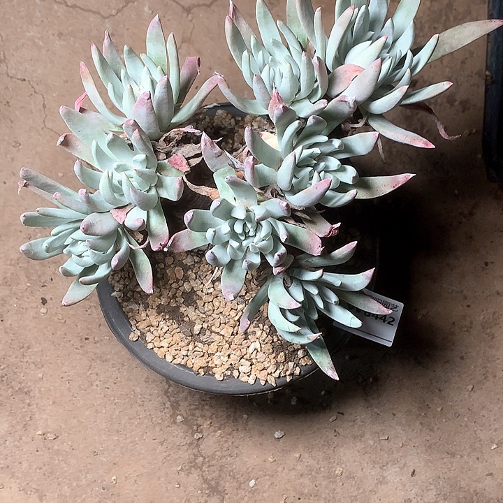 8442啊啊啊啊啊啊啊啊啊啊