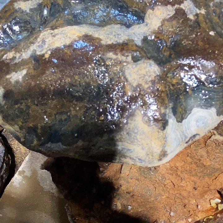 @***斗定制玛瑙地哦小心翼翼