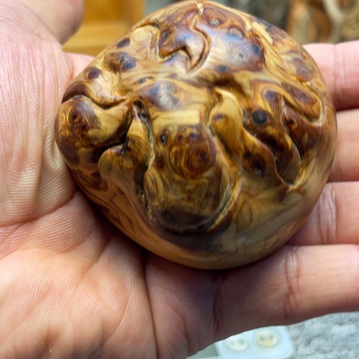 柏木（崖柏）崖柏188