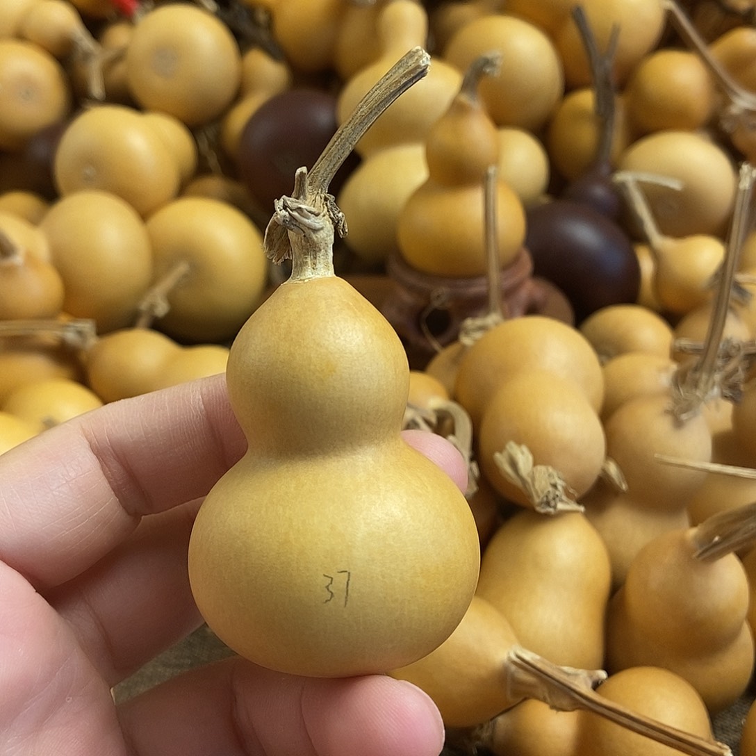 文玩葫芦 完美主义者 慎拍37