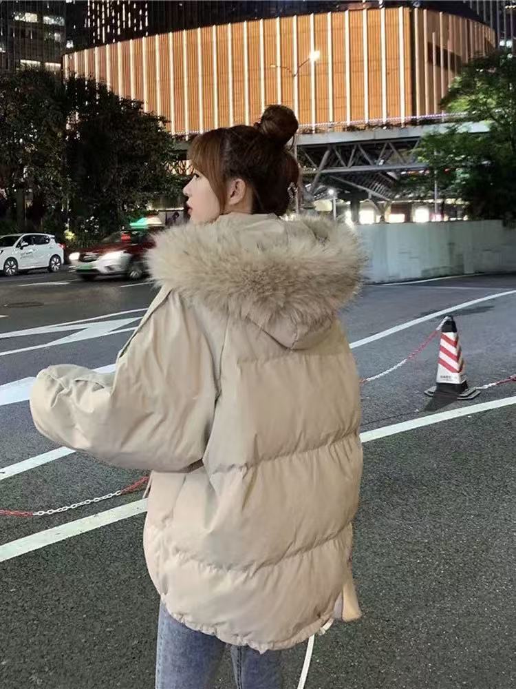 D301-D400【按主播过款编码下单】时尚女装【非图片】