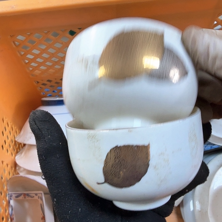 碗开播啦…开播啦