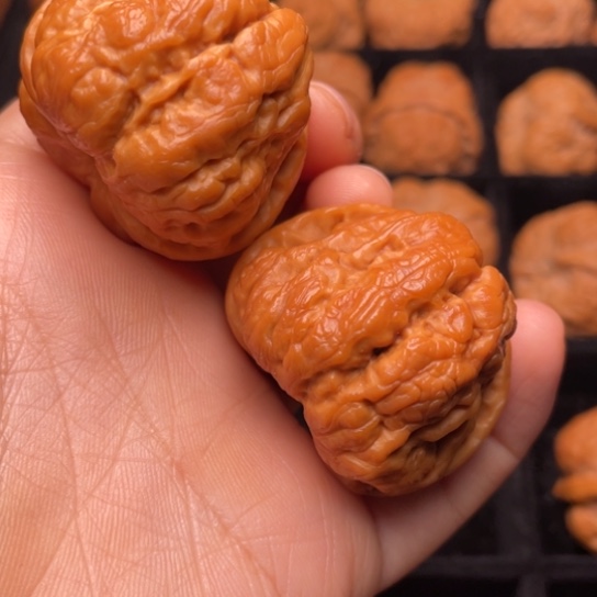 文玩核桃把件秦岭山脉核桃