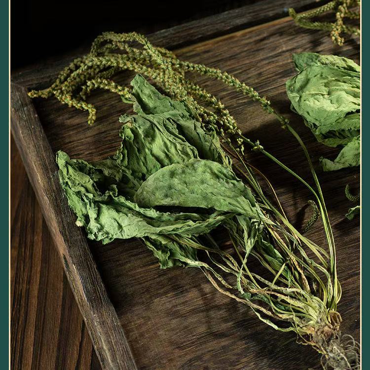 车前草、燕三宝生态、农产品