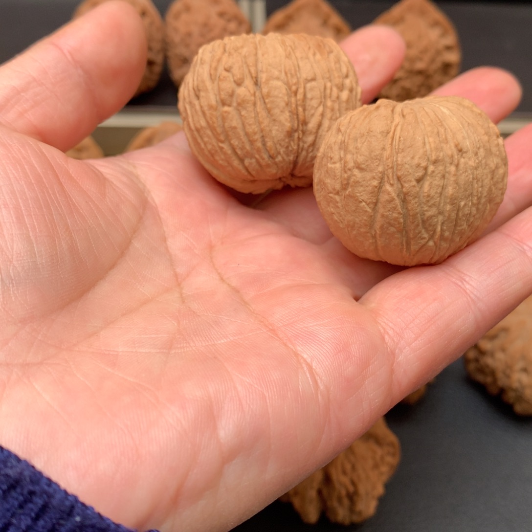 文玩核桃吊坠L*y猴头