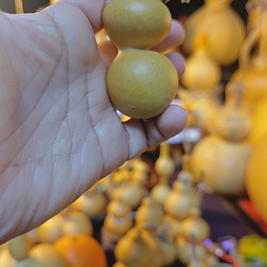 ****2大叶紫檀（黑酸枝木类）