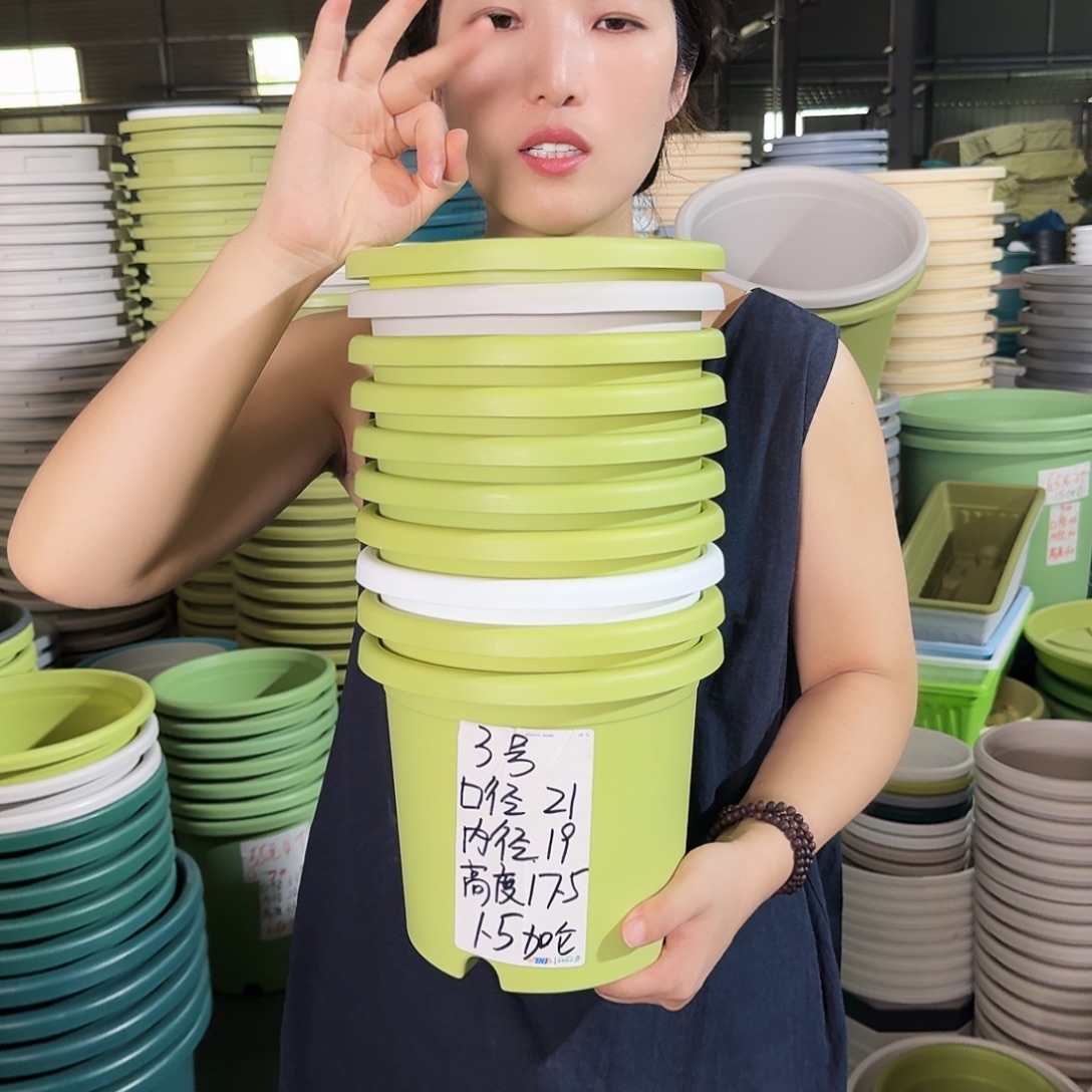 微瑕3#口径21无拖果绿10个