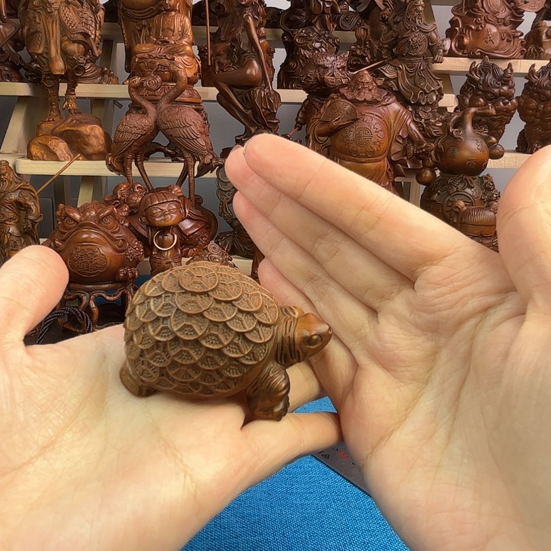 黄杨木小叶黄杨木