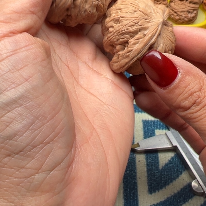 桃核吊坠文玩战鼓44