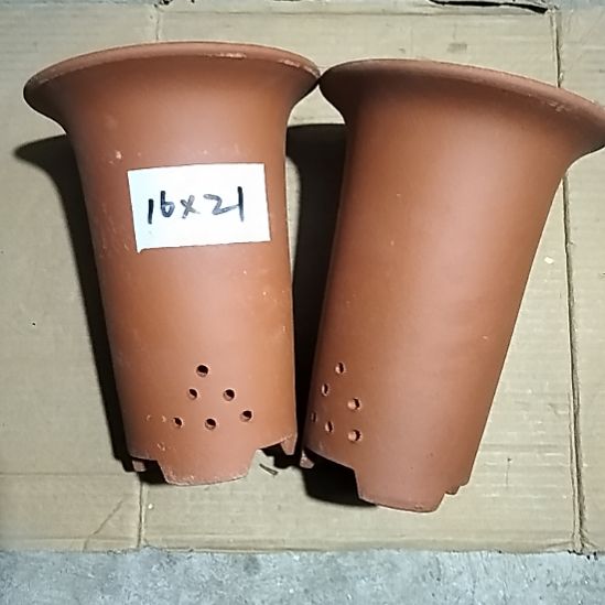 紫砂小红兰花两个