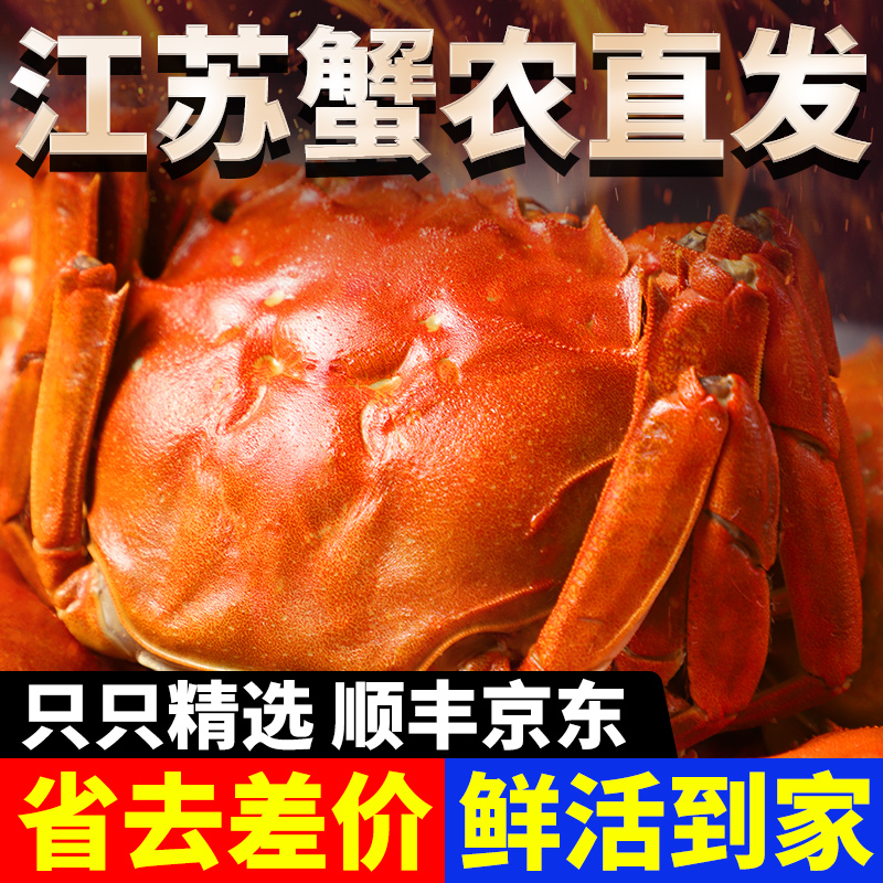 【买6送4到手10只】精选活蟹顺丰京东包邮洪泽湖河蟹1.7-2.0两蟹农直发鲜活螃蟹现捞现发精品公蟹海鲜