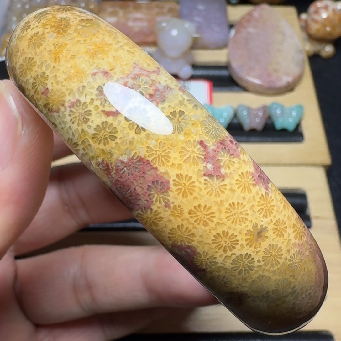 硅化玉纯天然色有机玉石未镶嵌59.5圈口