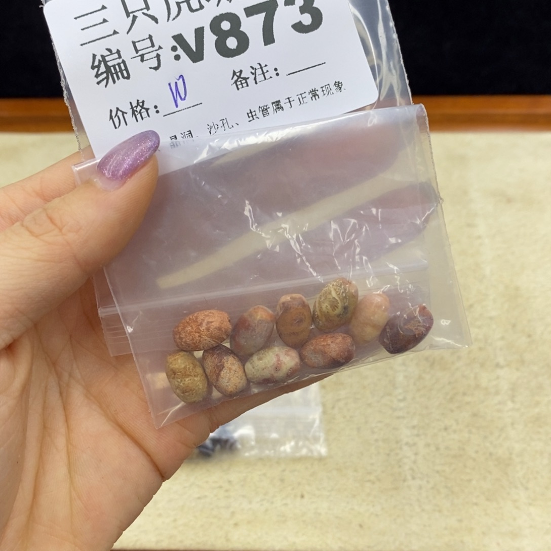 硅化珊瑚（珊瑚玉）未镶嵌1蓝*