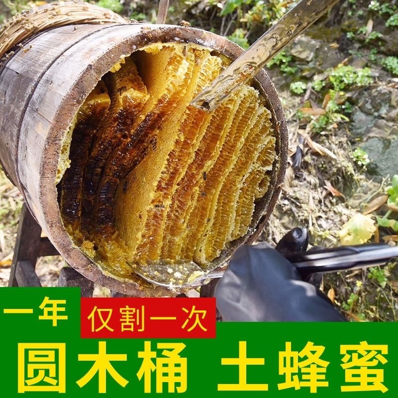 （下单多送两瓶到手10瓶）农家木桶土蜂蜜 蜂场直发 纯正天然