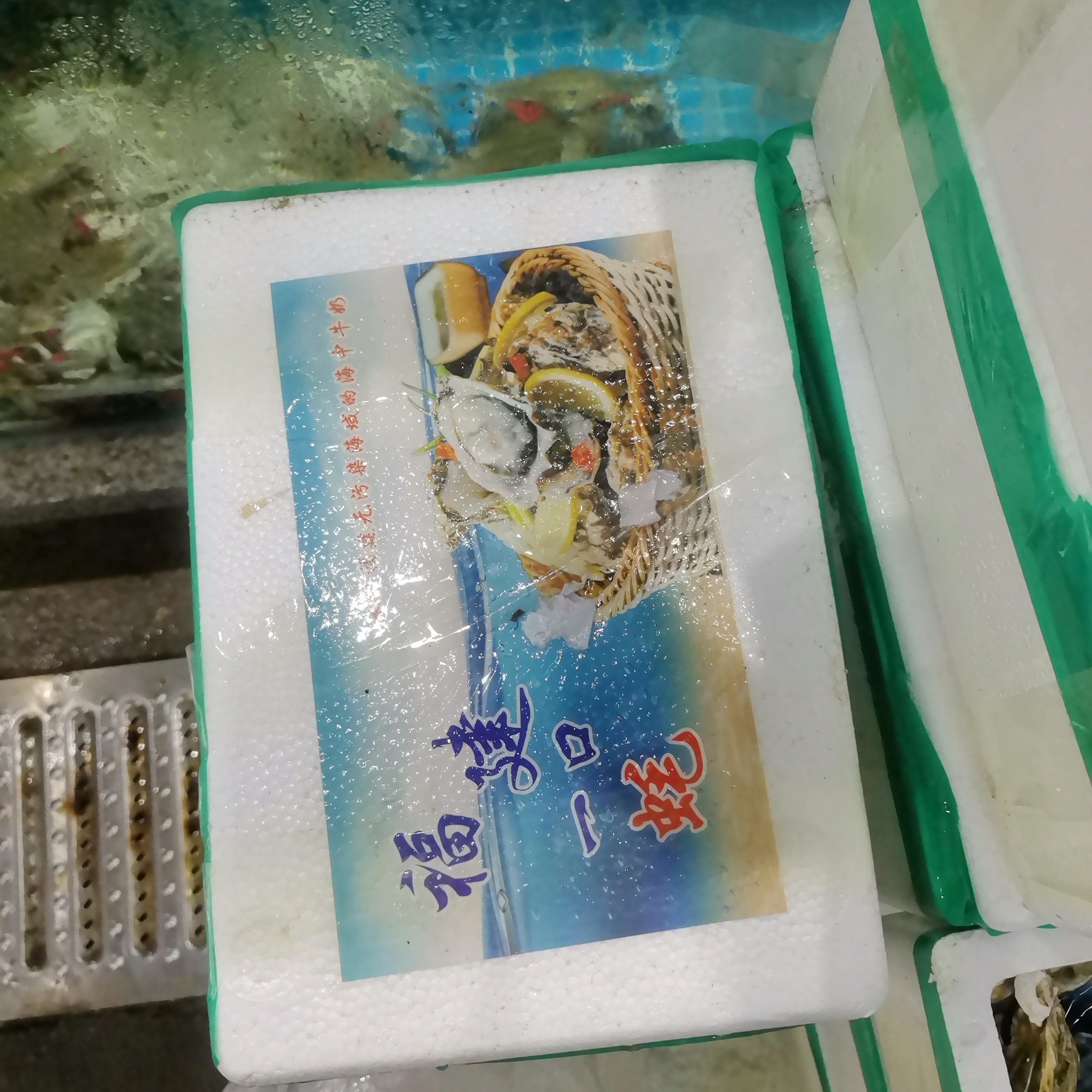 一口蚝（箱）生蚝鲜活