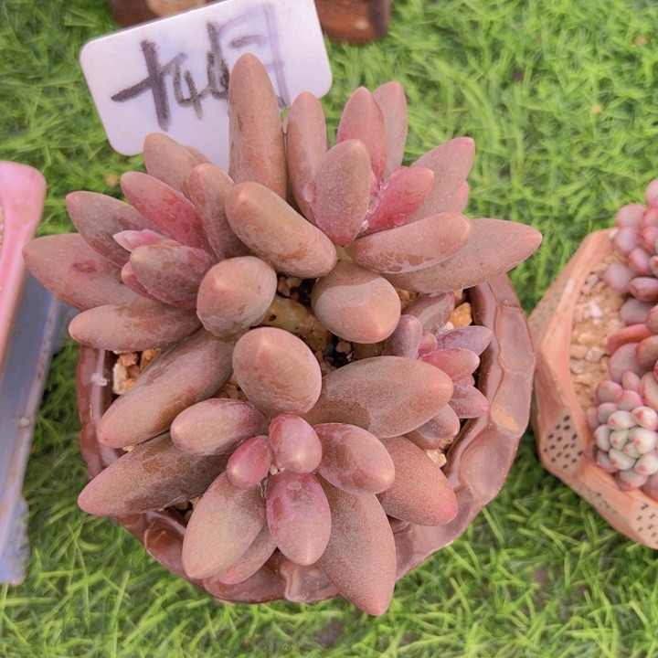 健健康康平平安安