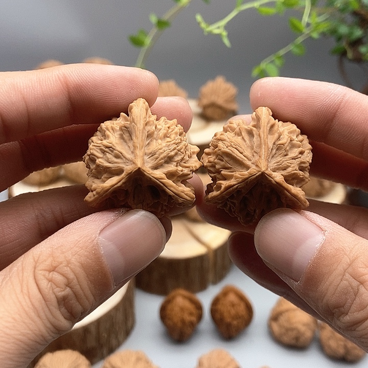 33尺盘山三棱正奔福利