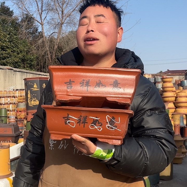 紫砂紫砂花盆盆栽