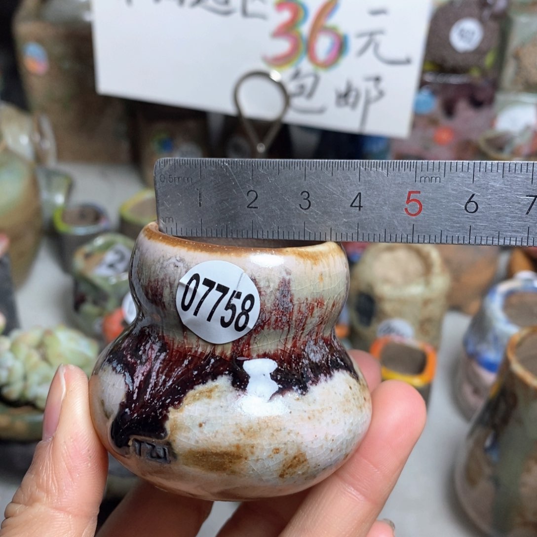 花盆拍5送一个小礼物