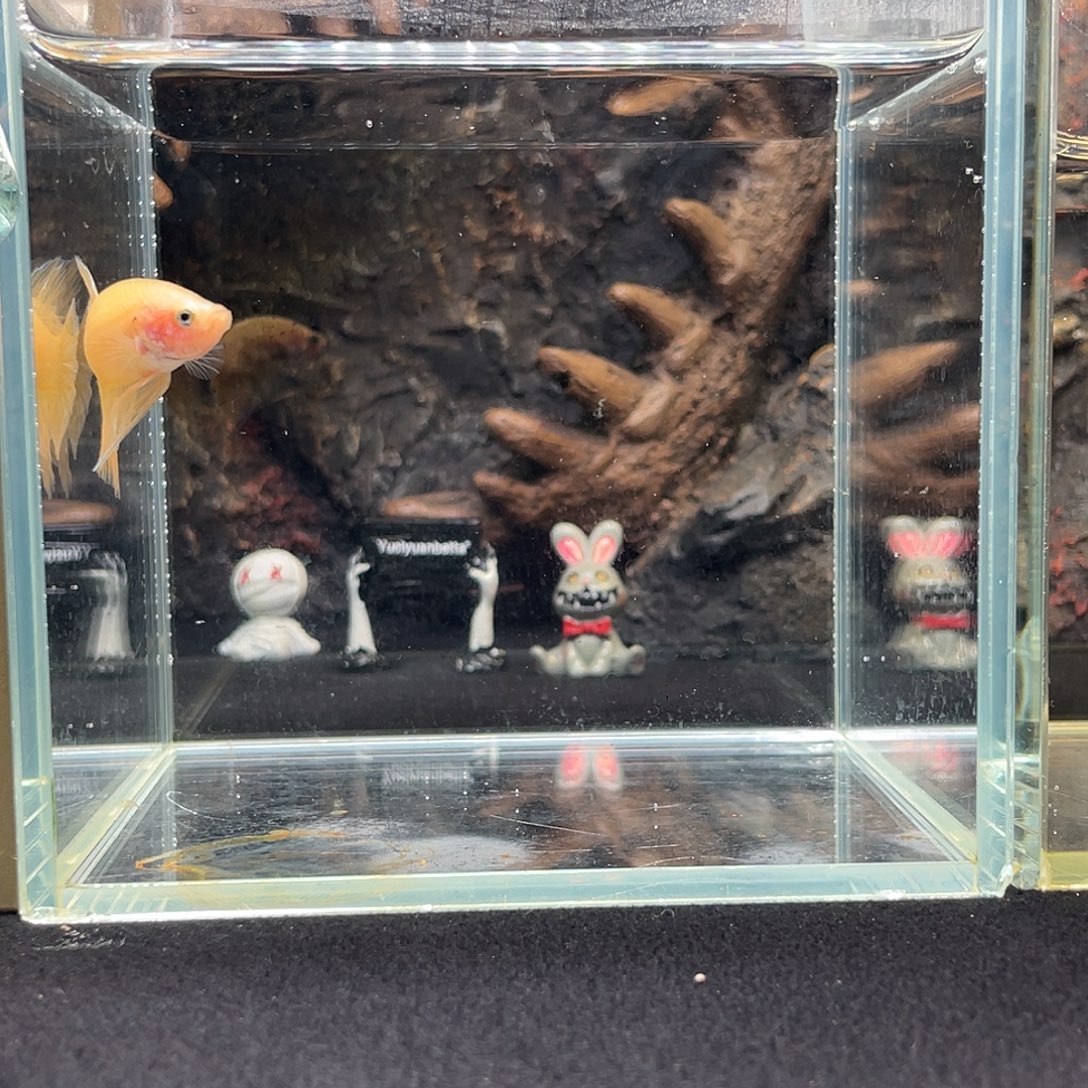 斗鱼十月十三日竞价