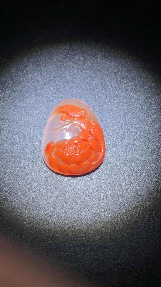 川料南红，柿子红带冻