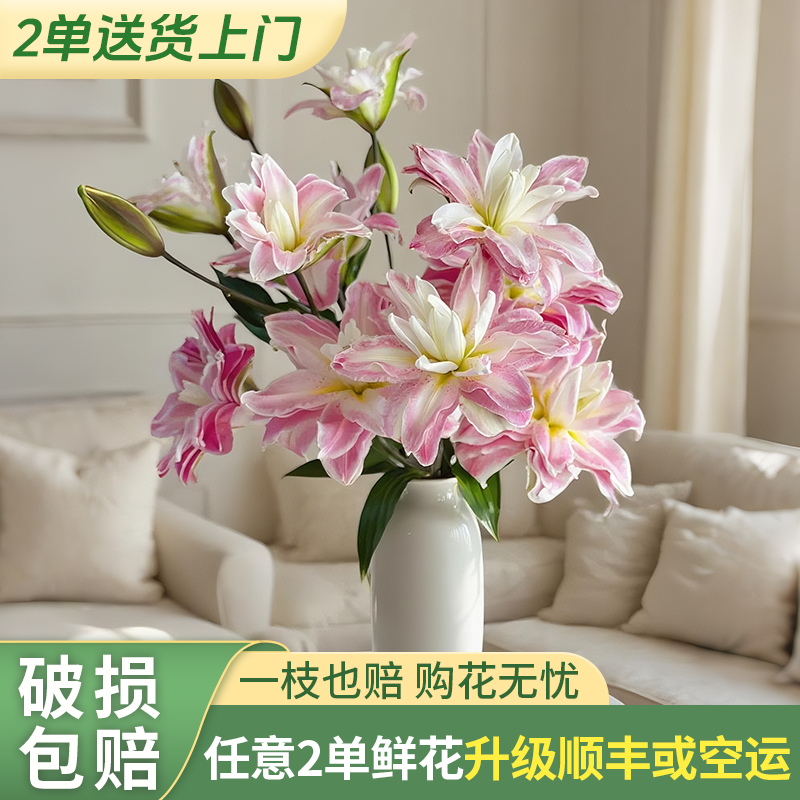 【源头优选老六】莲花之境重瓣任意两单升级快递 发货不支持退款