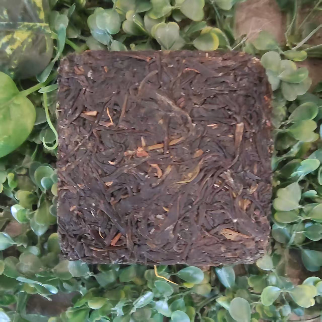 雨腾妹夫 菩提金G化T涎菩提XR亲L”菩提本M涎”紫芽200g/砖生（6月9）