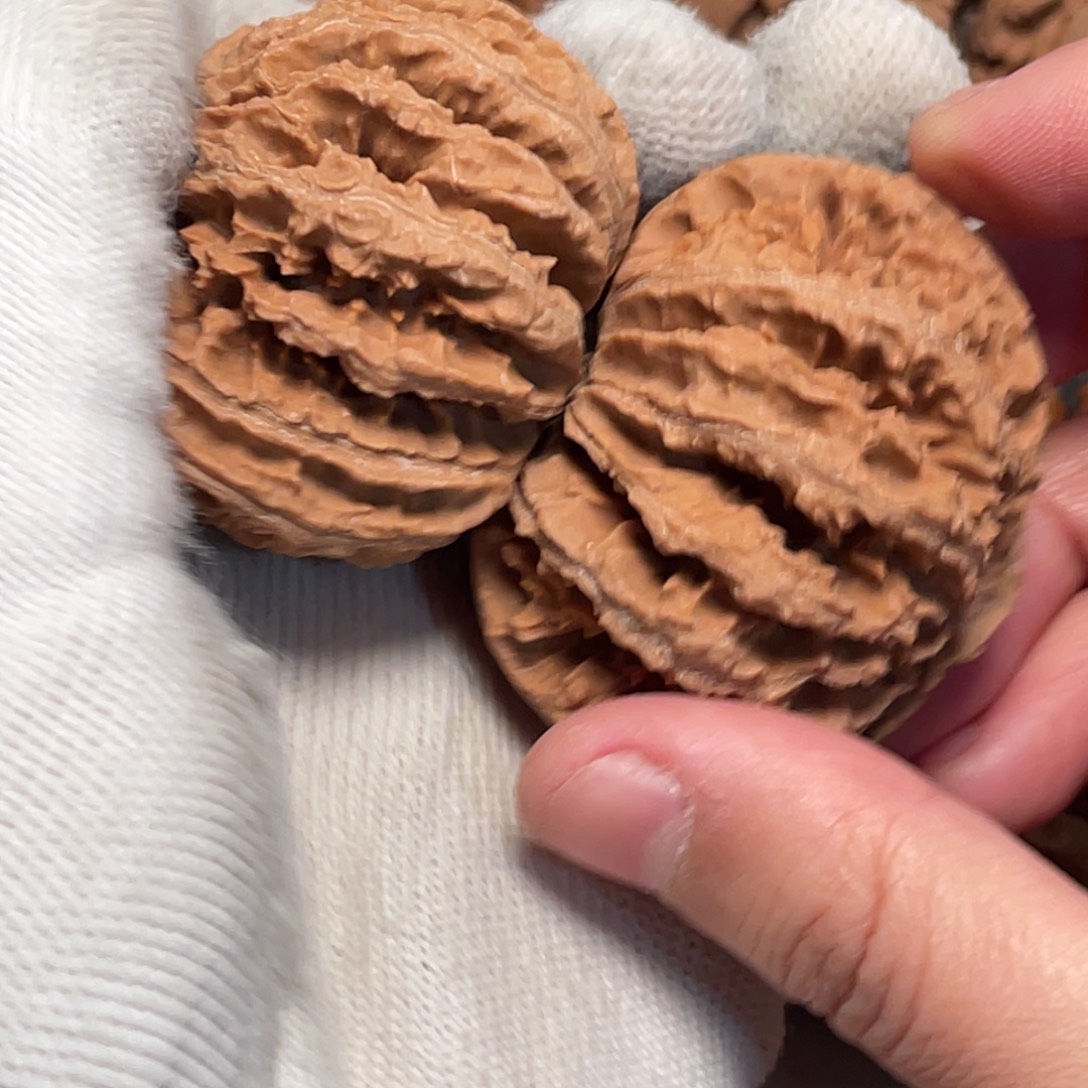 行***至吊坠桃核8 秦岭灯笼野生小众