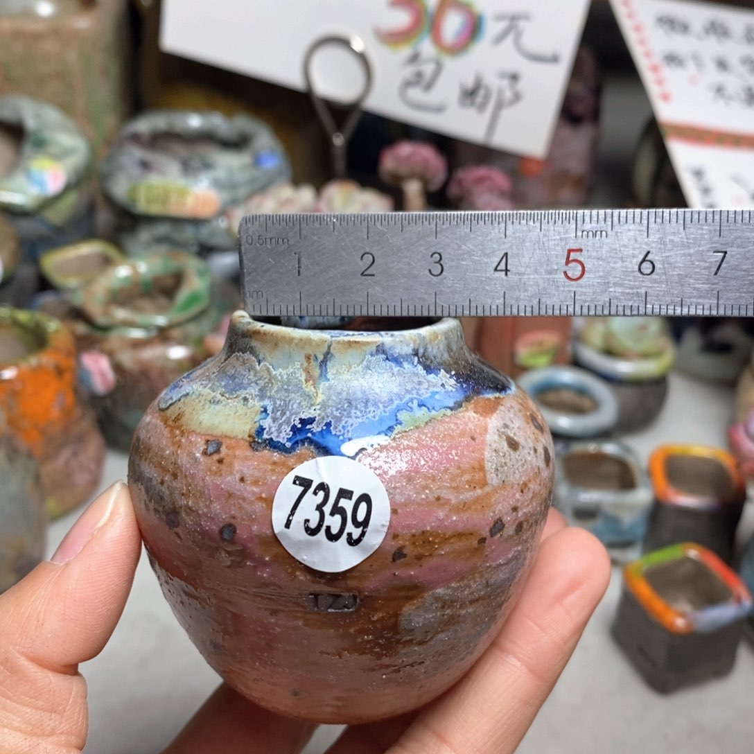 花盆拍5送一个小礼物