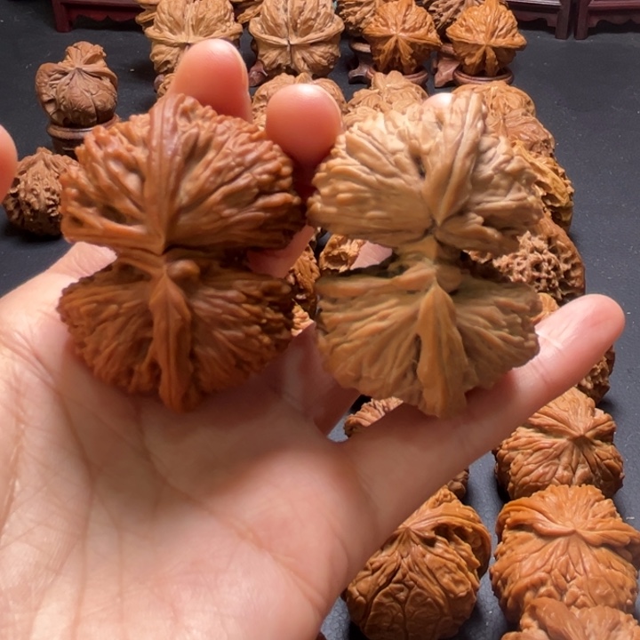 白狮子桥连48尺寸核桃哈哈哈哈哈哈