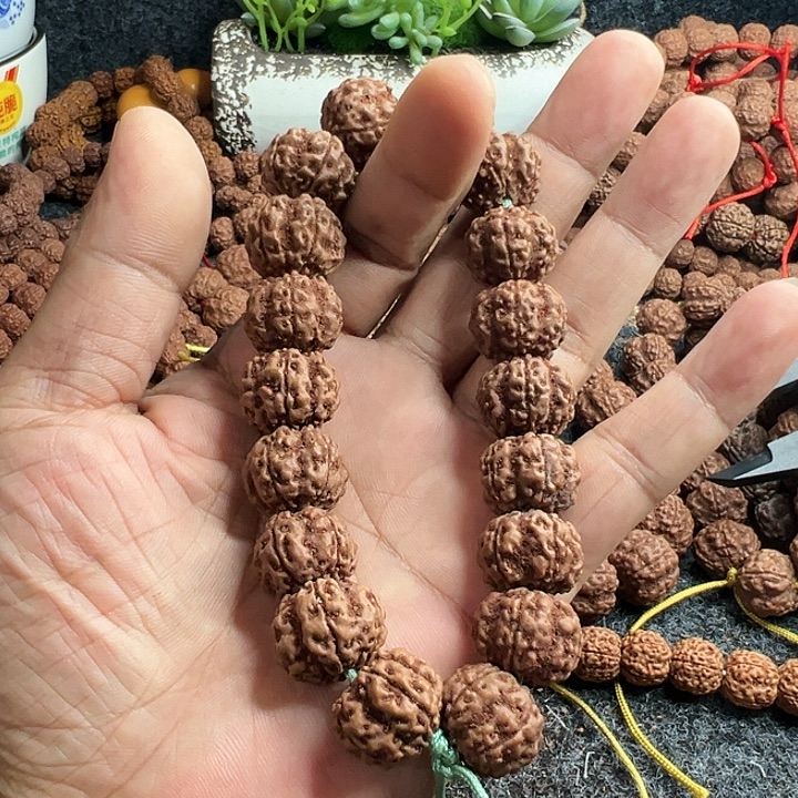 手串金刚菩提红方印梅花单圈