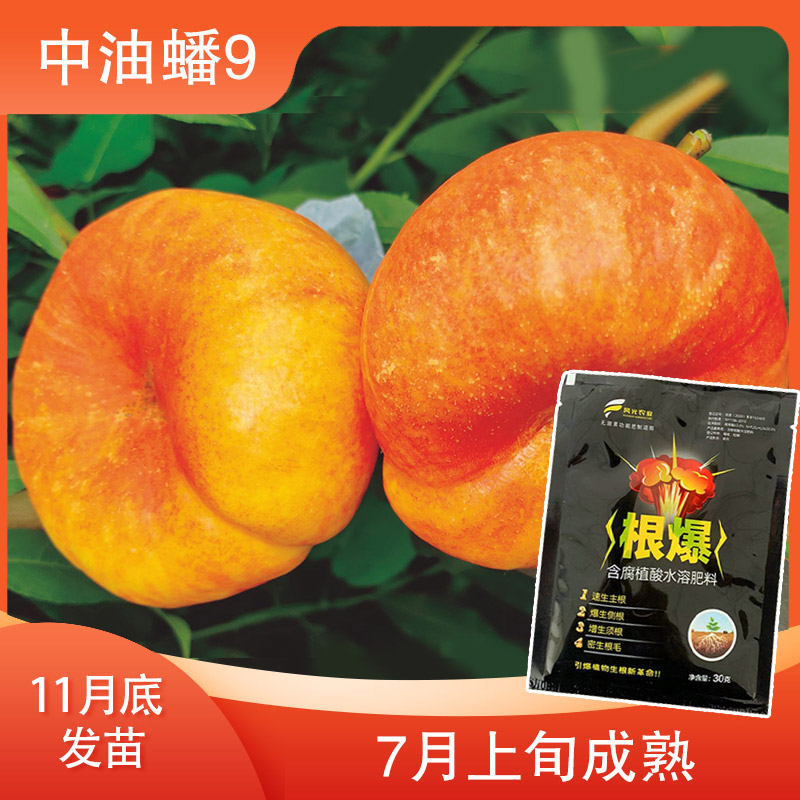 【中油蟠9一级的】增产肥料（12月发）先发赠品
