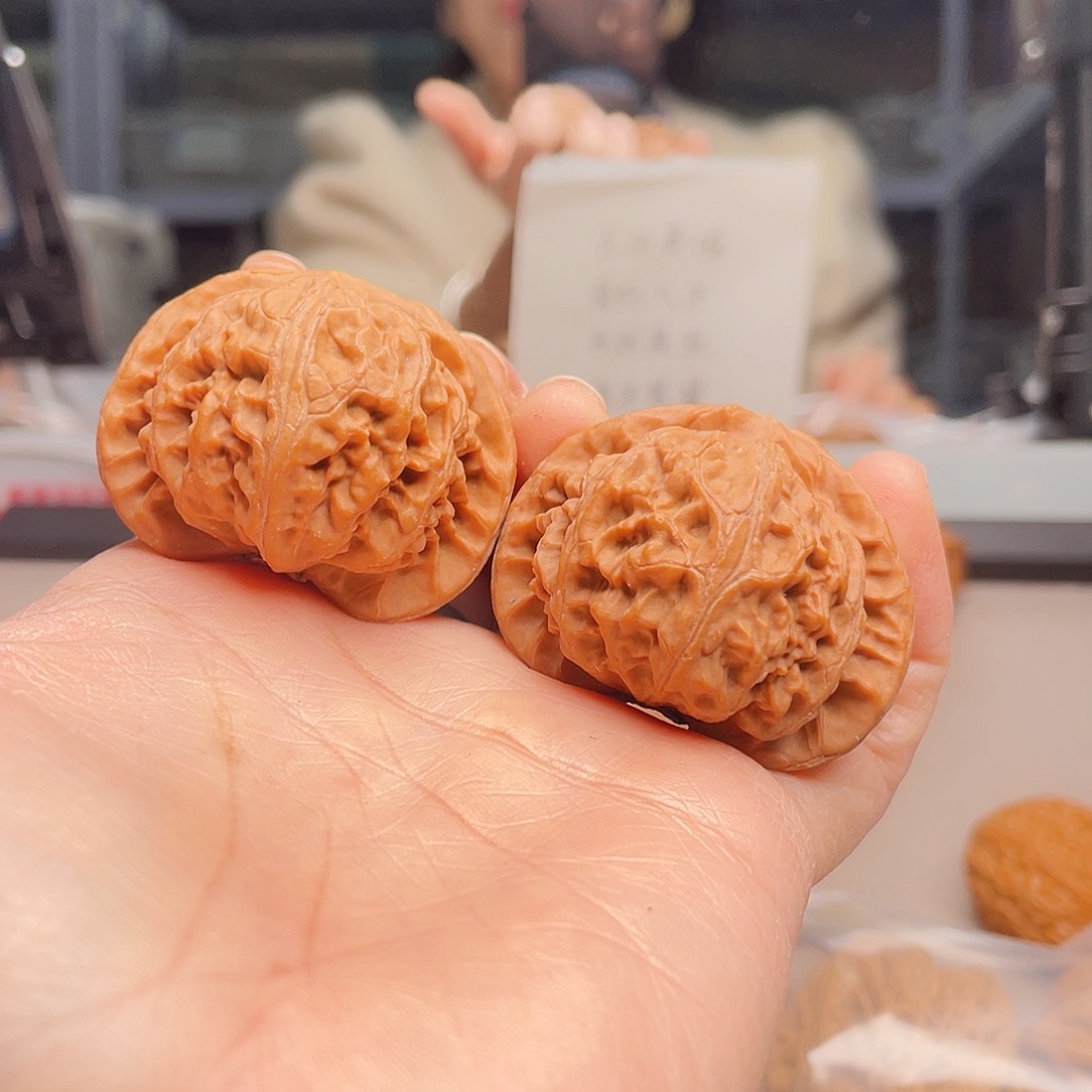 C*猴头龙身第十一卷第四