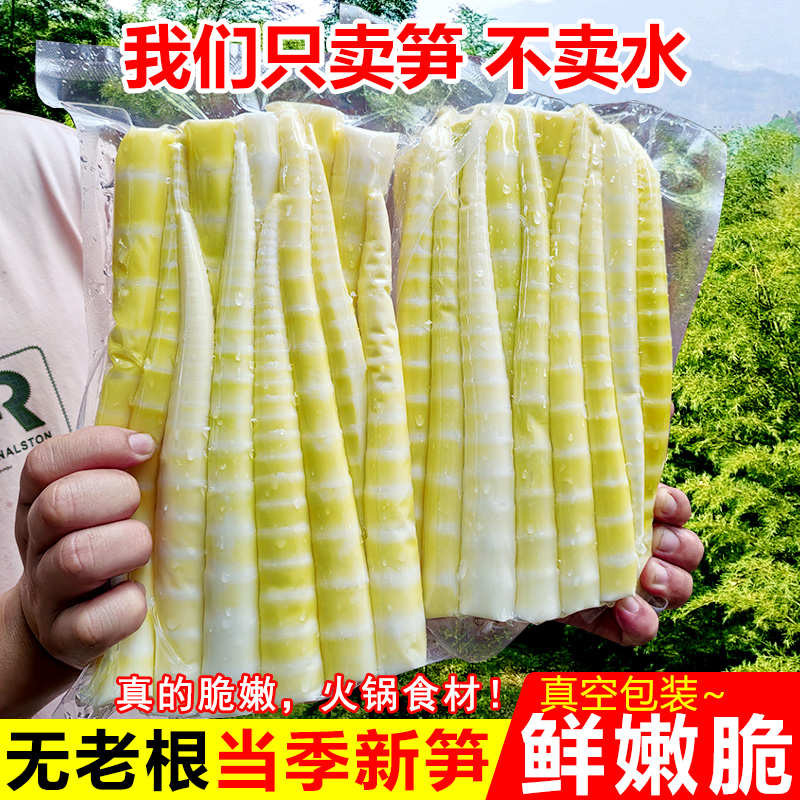 四川高山去壳包装新鲜小竹笋嫩笋尖清水笋火锅笋脆嫩食材
