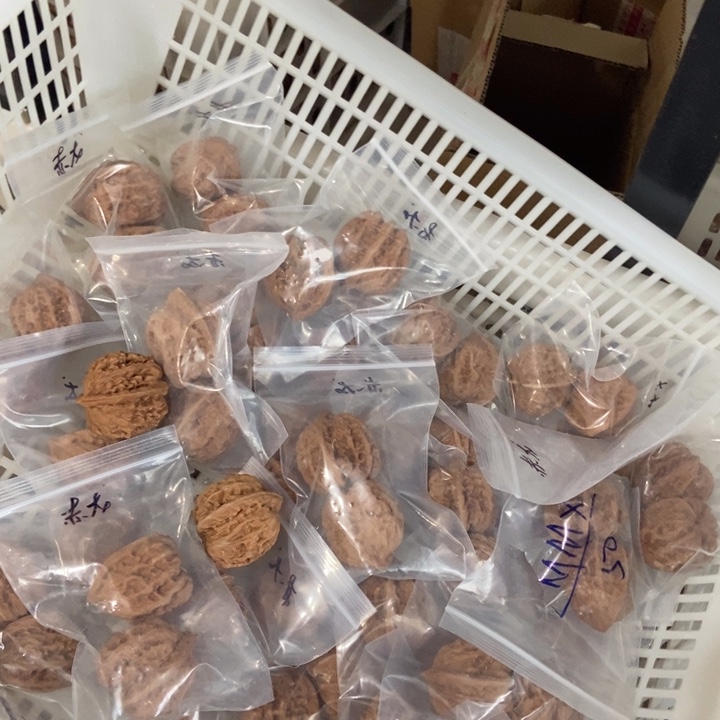 吊坠文玩核桃赤龙